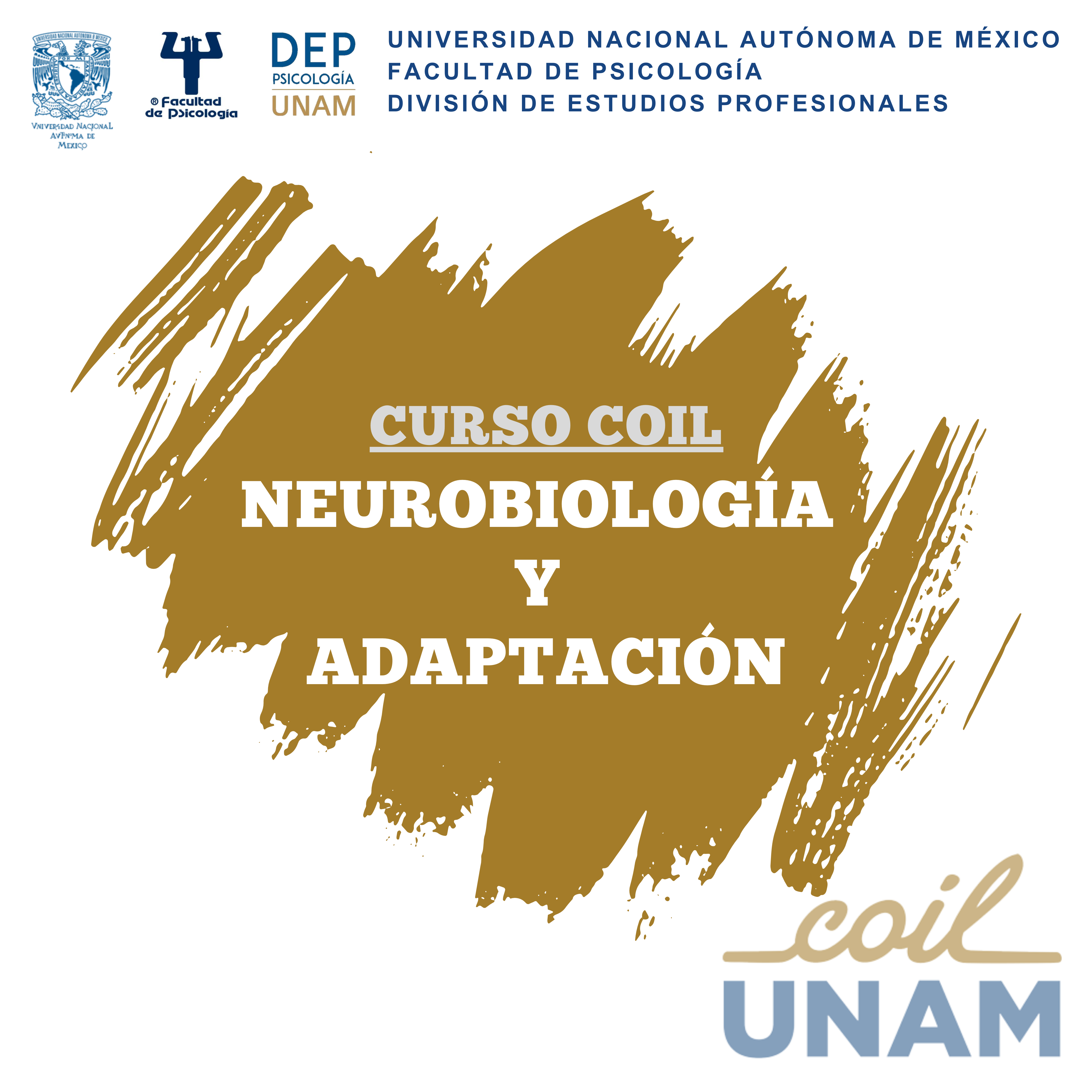 5.3.1.2-COIL-UNAM-Rey-Juan-Carlos-5