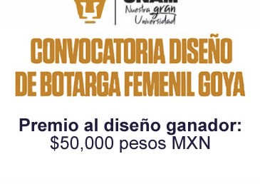 Concurso de Diseño de La Botarga Femenil Goya.