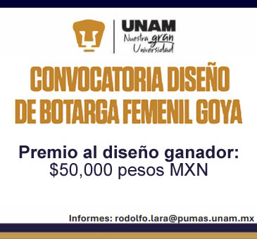 Concurso de Diseño de La Botarga Femenil Goya.