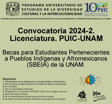 PUIC-UNAM-2024