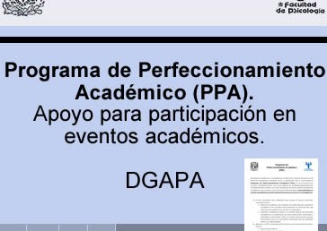 Programa de Perfeccionamiento Académico (PPA)