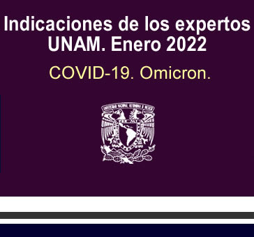 Indicaciones de los expertos UNAM. Enero 2022.
