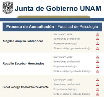 Junta de Gobierno – Proceso de Auscultación